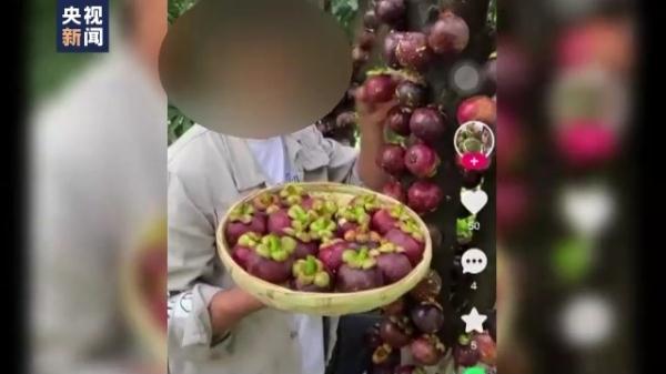 违反常识追求流量 农产品带货直播乱象丛生