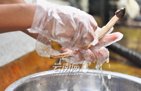 雨季和它 如约而至
