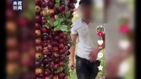 违反常识追求流量 农产品带货直播乱象丛生