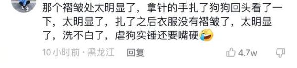 它的表情包很多人在用！网红小狗疑遭主人扎针虐待？警方介入