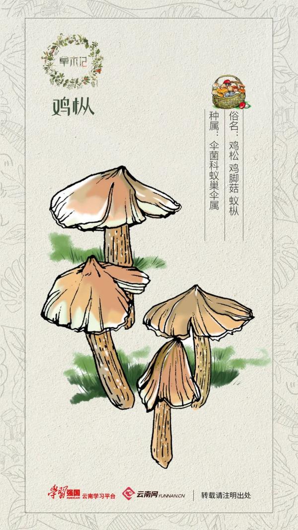 雨季和它 如约而至