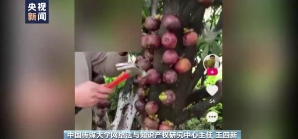 违反常识追求流量 农产品带货直播乱象丛生