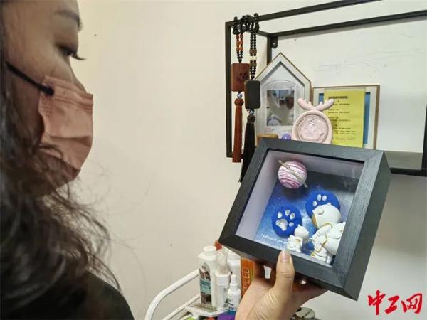 千职百态｜宠物殡葬师王馨欣：为“毛孩子”打理“身后事”