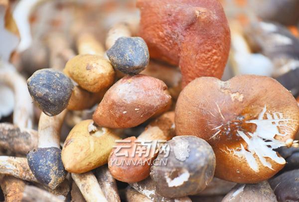 雨季和它 如约而至