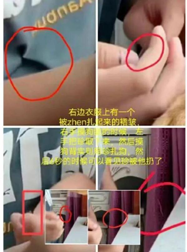 它的表情包很多人在用！网红小狗疑遭主人扎针虐待？警方介入