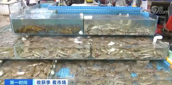 嚯～浙江人爱吃的这口海鲜，价格腰斩！！