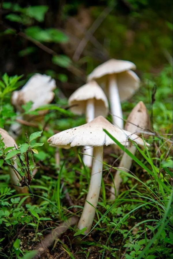 雨季和它 如约而至