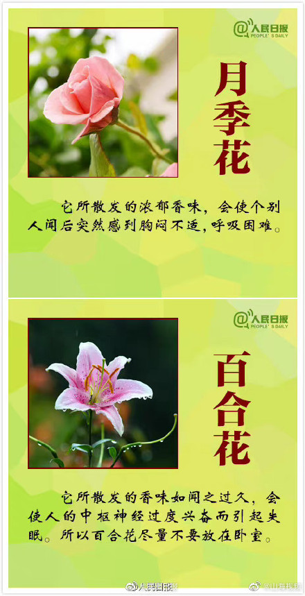 科普:哪些观赏植物不可食用 科普:哪些观赏植物不可食用