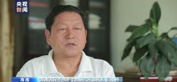 违反常识追求流量 农产品带货直播乱象丛生