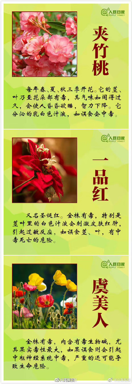 科普:哪些观赏植物不可食用 科普:哪些观赏植物不可食用
