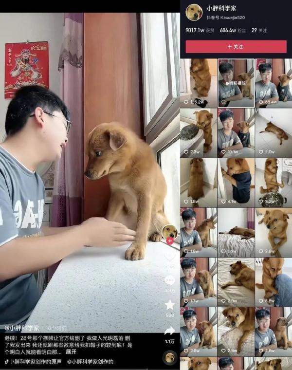 它的表情包很多人在用！网红小狗疑遭主人扎针虐待？警方介入