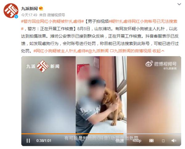 它的表情包很多人在用！网红小狗疑遭主人扎针虐待？警方介入