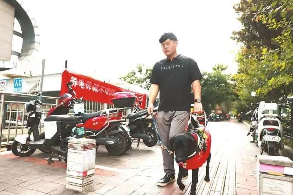 “汪汪队”立大功！！个个“身怀绝技”！