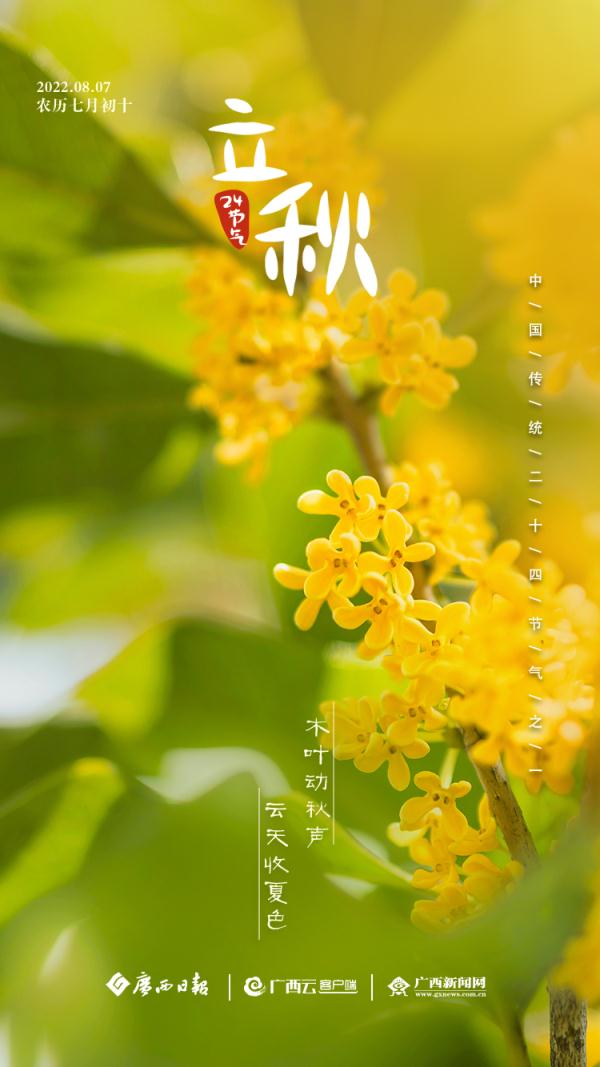 今日立秋｜未觉三夏尽，时序已新秋