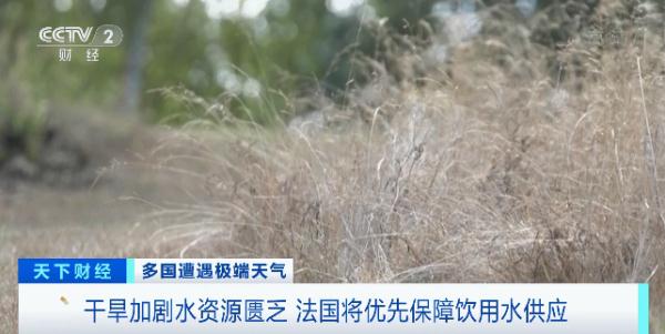 法国组建“危机应对工作组”！96个省份几乎全部行动