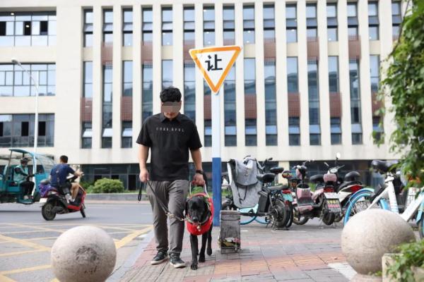 “汪汪队”立大功！！个个“身怀绝技”！