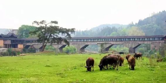 超900年历史,中国一重点文物保护单位失火!现场让人心痛 超900年历史,中国一重点文物保护单位失火!现场让人心痛