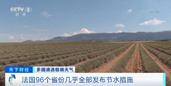 法国组建“危机应对工作组”！96个省份几乎全部行动