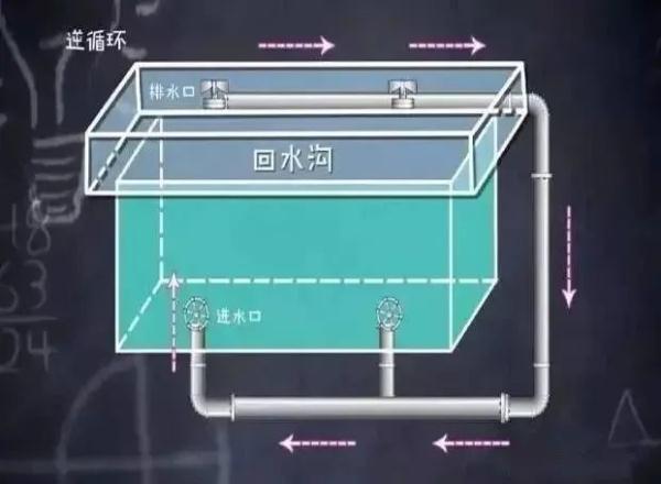 男童泳池玩水被排水口一秒吸入…这份救命指南，希望永远用不上！