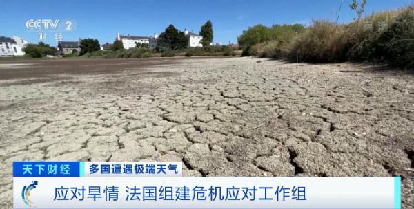 法国组建“危机应对工作组”！96个省份几乎全部行动