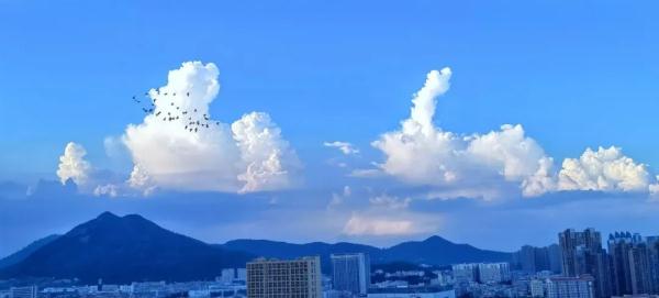 第7号台风“木兰”或于明天生成！厦门天气将……