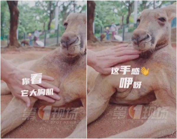《独行月球》里的“刚子”走红！深圳分“刚”惊现动物园？