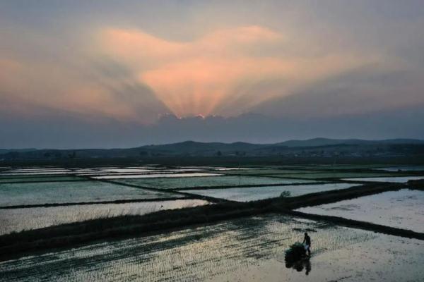 “让中国人吃上好大米!” “让中国人吃上好大米!”