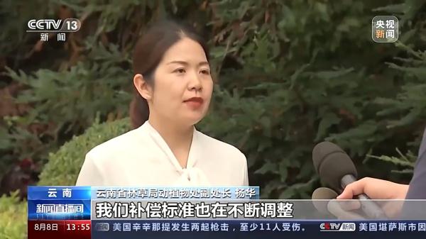 北上南归一年，亚洲象群有了新变化