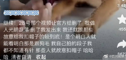 网红小狗主人回应没有虐狗