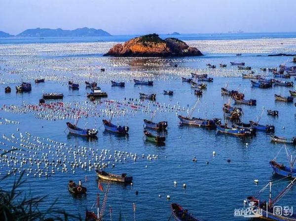 上海人的心头好售价已降4成!想吃请抓紧... 上海人的心头好售价已降4成!想吃请抓紧...