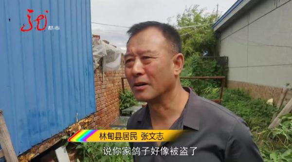 都是“嘴馋”的惹祸！大庆一男子被抓后惊呼：吃不起