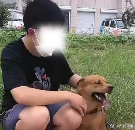 网红小狗主人回应没有虐狗