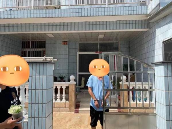 上海一盆市价10万的多肉被偷，网友评论炸锅了！真有这么贵吗？