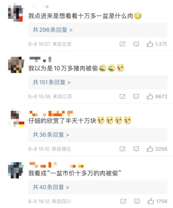 上海一盆市价10万的多肉被偷，网友评论炸锅了！真有这么贵吗？