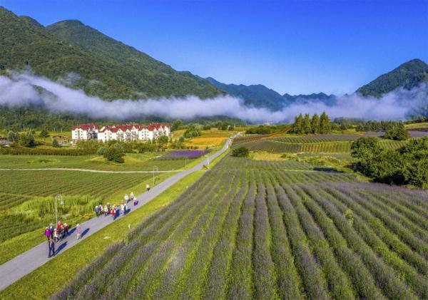 重庆巫溪：红池坝上迎客来