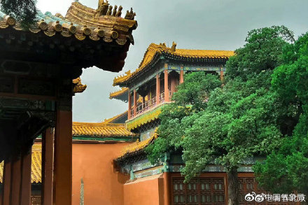 清清爽爽!绿荫中的故宫御花园这么美 清清爽爽!绿荫中的故宫御花园这么美
