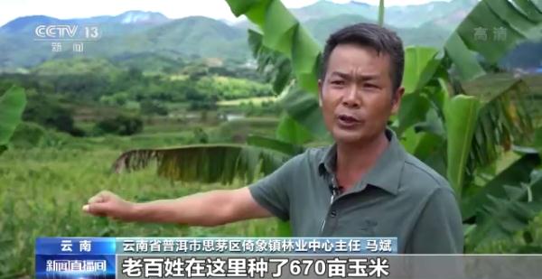 “大象食堂”开张了!云南野生亚洲象数量已超300头…… “大象食堂”开张了!云南野生亚洲象数量已超300头……