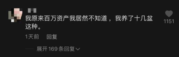 上海一盆市价10万的多肉被偷，网友评论炸锅了！真有这么贵吗？