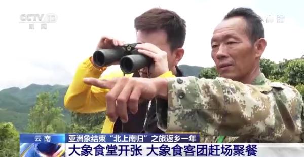 “大象食堂”开张了!云南野生亚洲象数量已超300头…… “大象食堂”开张了!云南野生亚洲象数量已超300头……