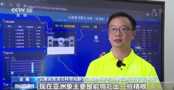 “大象食堂”开张了!云南野生亚洲象数量已超300头…… “大象食堂”开张了!云南野生亚洲象数量已超300头……