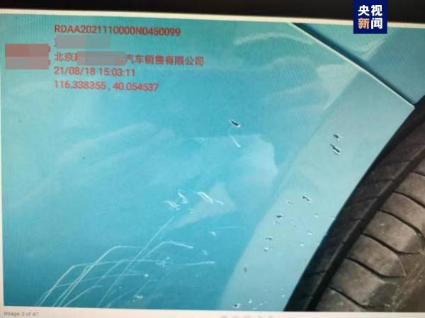 流浪狗咬坏车谁负责？法院判了：保险赔付
