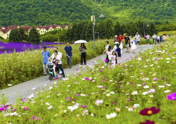 重庆巫溪：红池坝上迎客来