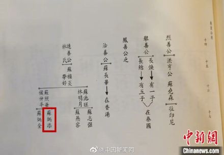苏氏祖祠回应:苏炳添是苏东坡第29代孙 苏氏祖祠回应:苏炳添是苏东坡第29代孙