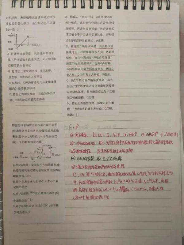 考眼力！当3对双胞胎考上同一所大学