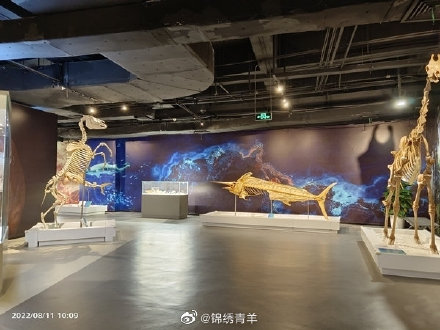 致敬医师节！成都生命奥秘博物馆向全国医护人员免费开放