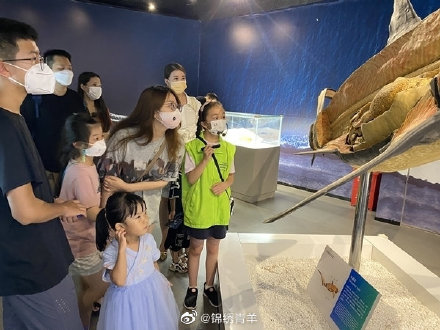 致敬医师节！成都生命奥秘博物馆向全国医护人员免费开放