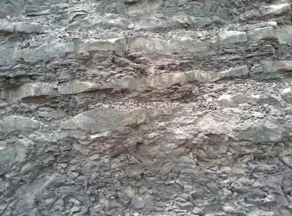 4.4亿年前的它神似表情包 塔里木盆地居然在赤道附近