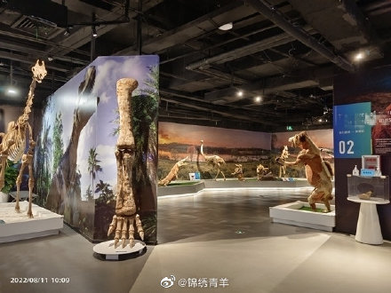致敬医师节！成都生命奥秘博物馆向全国医护人员免费开放