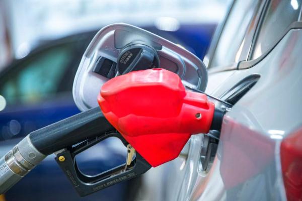 广东最新明确：明年起，全面推广使用！