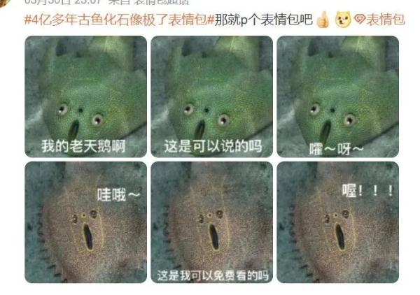 4.4亿年前的它神似表情包 塔里木盆地居然在赤道附近